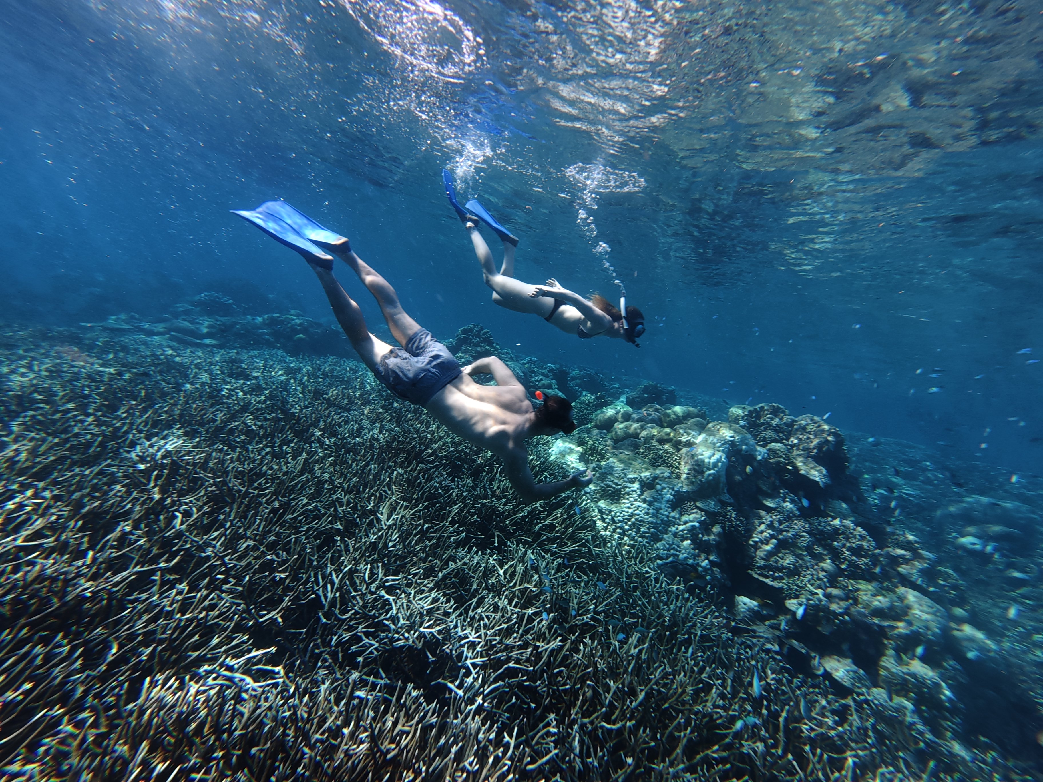 Manta Bay, Nusa Penida
